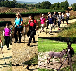 Marche nordique Marly